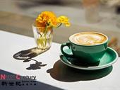 cafe mornington 1p11143 for