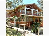 thriving riolindo coffee farm