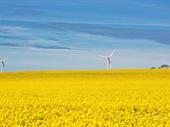 5mw operational wind farm