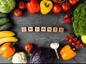 organic food producer exporter