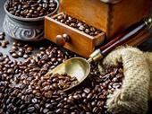 italian single-serve coffee producer