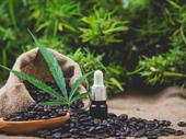 german medical cannabis distribution