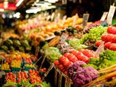 fruit veg + grocery