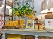 established retail boutique fully
