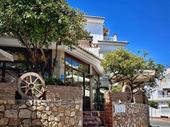 beautiful restaurant with terrace