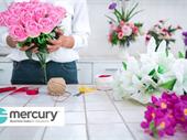 artificial plant installation biz
