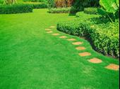 commercial landscape maintenance company