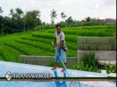 well-established pool route palm