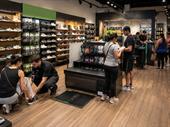 growing health wellness franchise