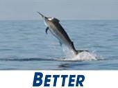 the best fishing tackle