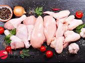 poultry shop butcher--keysborough--1p11210 for