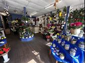 well-established florist with strong