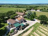 wine estate with a