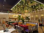 well-established pakistani taste lounge