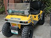 golf cart rental company