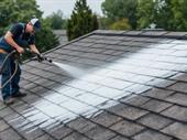 highly profitable roof rejuvenation