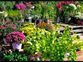 established living business with