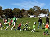 grasshopper soccer established business