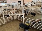 successful ag manufacturing business