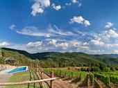 exclusive wine company for