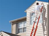 successful 6-territory paint franchise