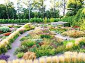wholesale retail nursery established