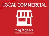 commercial premises the city