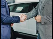 established profitable auto dealership