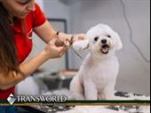 award-winning pet grooming salon