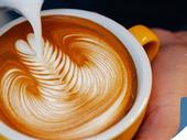 cafe franchise for sale