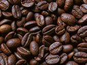 profitable colombian coffee importer