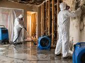 cleaning restoration franchise business