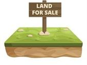 gas station development land