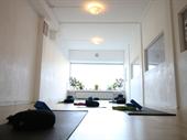 established yoga school wellness