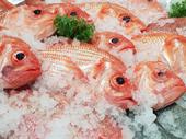 Fresh Seafood Business - Profitable