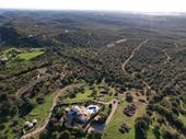 real estate resort project