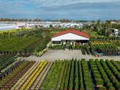 quality horticultural business vic