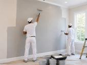 established painting co 200k