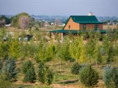 income-producing tree farm home