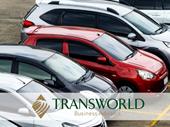profitable rental car business