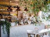 established profitable edmonton plant-based