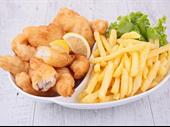 no competition fish n