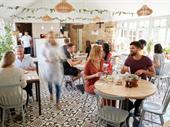 popular only cafe the