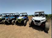 excursion buggy business