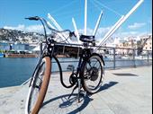 profitable established bike tourism