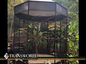 cage masters established specialty