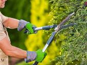 established garden maintenance business