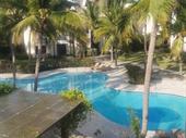 own punta cana's premier