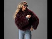 profitable european fashion store