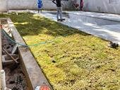gardening landscaping services business